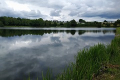 IMG_20200615_151550