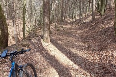 IMG_20220412_144247