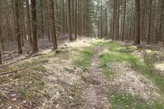 IMG_20220412_165551