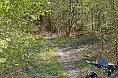 IMG_20220417_151207