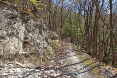 IMG_20220417_152953