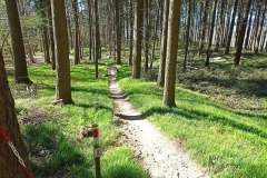 IMG_20220417_160956
