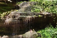 IMG_20250812_143336