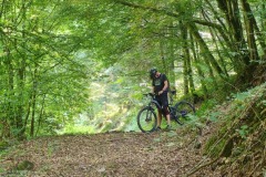 IMG_20250812_145344