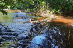 IMG-20220806-WA0004