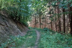 IMG_20220810_150040