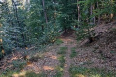 IMG_20220810_173612
