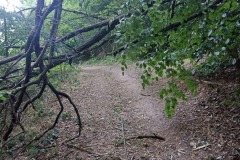 IMG_20220812_171803