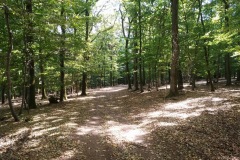 IMG_20220820_141720