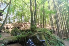 IMG_20220823_155556