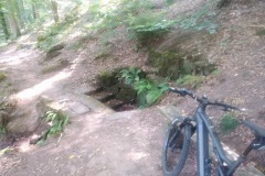 IMG_20220825_124810