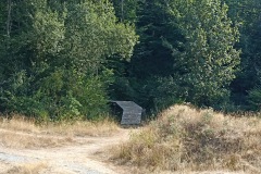 IMG_20220829_155918