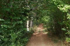 IMG_20220830_145017