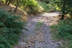 IMG_20220830_150339