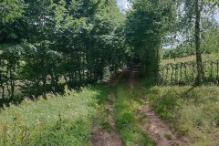 IMG_20220701_154714-1
