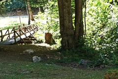 IMG_20220704_152531