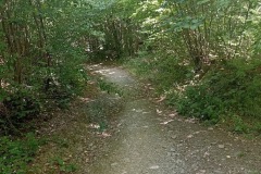 IMG_20220704_163323