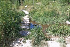 IMG_20220708_160037