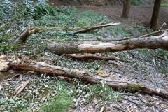 IMG_20220716_165425