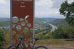 IMG_20220721_154239