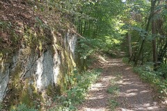IMG_20220723_154549