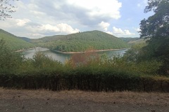 IMG_20220723_172054
