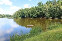 IMG_20220611_113720