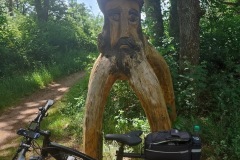 IMG_20220611_124130