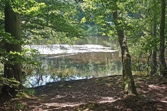IMG_20220611_130705