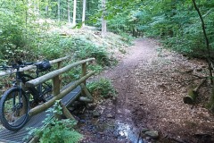 IMG_20220611_145236