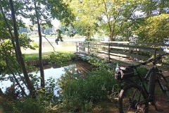 IMG_20220616_122127