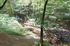 IMG_20220625_130445