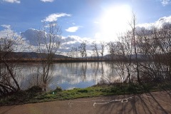 IMG_20230318_164552