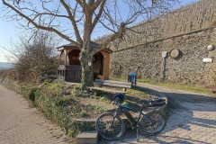 IMG_20220304_154652