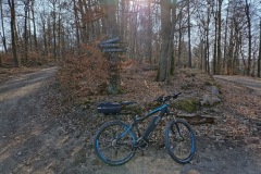 IMG_20220309_153549