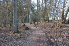 IMG_20220309_163213