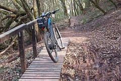 IMG_20220328_164831