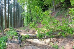 IMG_20220506_152955