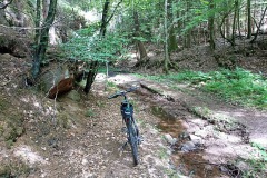 IMG_20220527_152253
