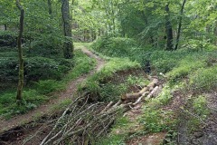 IMG_20220527_152309