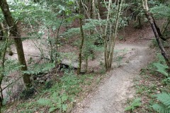 IMG_20220625_152730