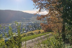 IMG-20251105-WA0000