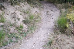 IMG_20211015_134059