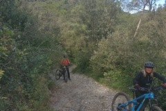 IMG_20251022_122841