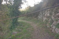 IMG_20251023_162542