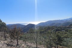 IMG_20251024_131818