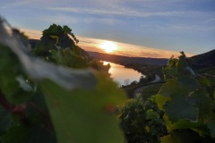 IMG-20220912-WA0023