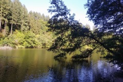 IMG_20220902_172838